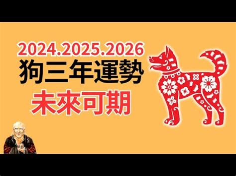 1982屬狗2023運勢顏色|属狗1982年出生的人2023年全年运程运势